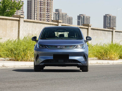 BYD Dolphin Фото №2
